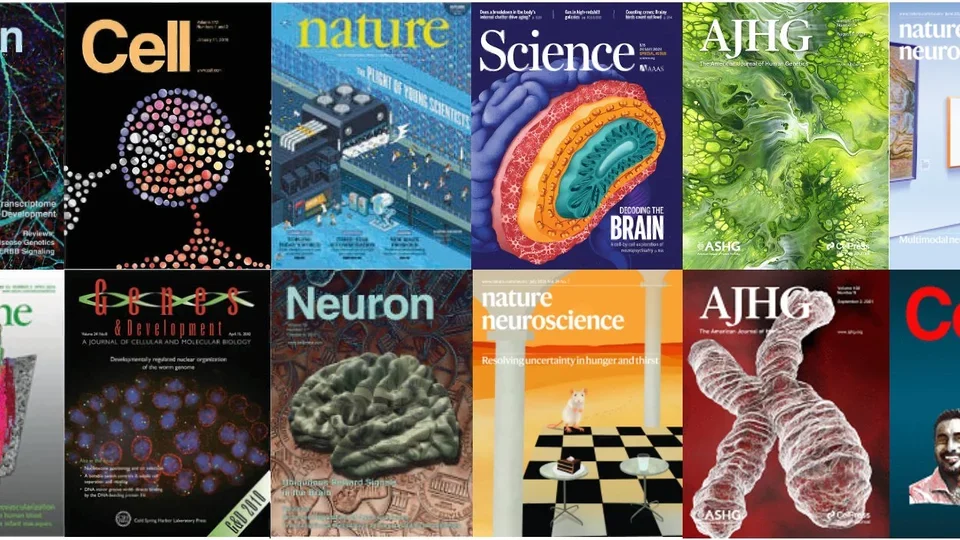 Publication Covers