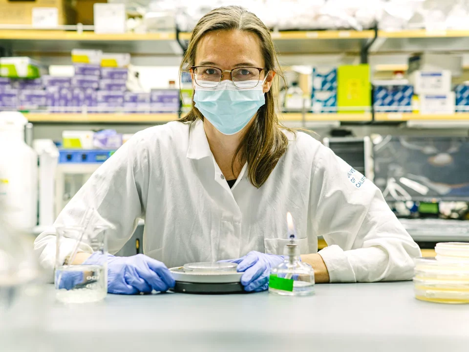 Dr. Susanne Nichterwitz