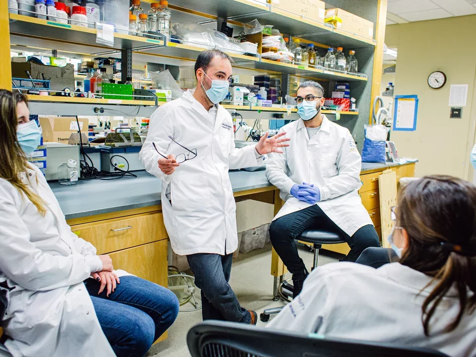 Group discussion of laboratory members