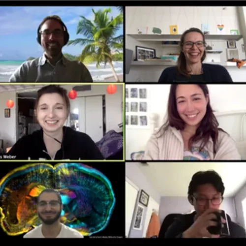de la Torre-Ubieta Lab members meet on zoom.